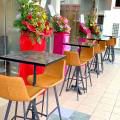 Brew House - Sembawang Road | Product Seen: [Eunice Barchair – SH750 & Customised Laminated Tabletop + Paris Table Base – V2]
